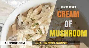 Cream of Mushroom Magic: Creative Recipes to Elevate Your Cooking