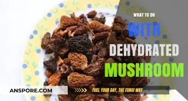 Reviving Flavor: Creative Ways to Use Dehydrated Mushrooms in Cooking