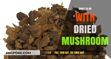 Reviving Dried Mushrooms: Creative Recipes and Storage Tips for Flavorful Meals