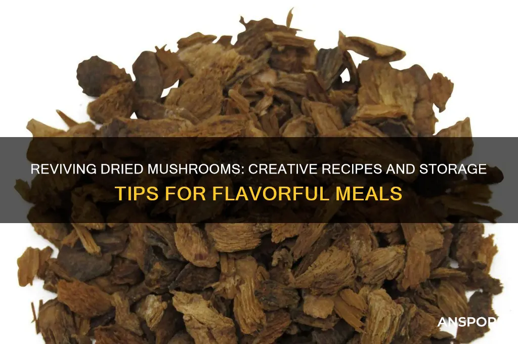 what to do with dried mushrooms
