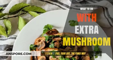 Creative Ways to Use Extra Mushrooms in Delicious Recipes