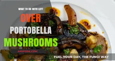 Creative Ways to Use Leftover Portobello Mushrooms in Your Kitchen