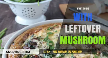 Creative Ways to Use Leftover Mushrooms in Delicious Recipes