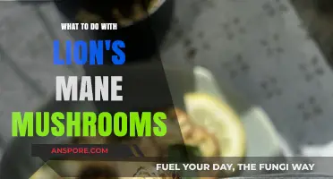 Lion's Mane Mushrooms: Creative Culinary Uses and Health Benefits Explored