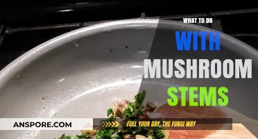 Creative Ways to Use Mushroom Stems in Your Kitchen