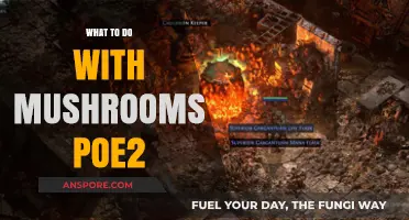Maximize Mushroom Potential: Creative Uses in Path of Exile 2
