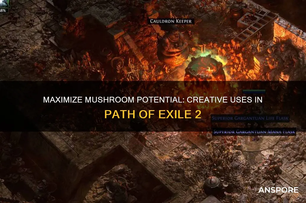 what to do with mushrooms poe2
