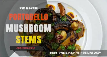Creative Ways to Use Portobello Mushroom Stems in Your Kitchen