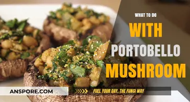 Delicious Portobello Mushroom Recipes: Creative Ways to Cook and Enjoy Them