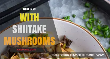 Creative Ways to Cook and Enjoy Shiitake Mushrooms at Home