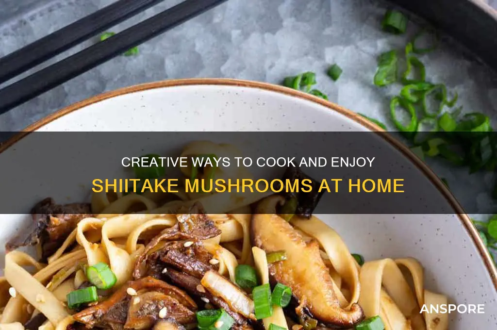 what to do with shiitake mushrooms
