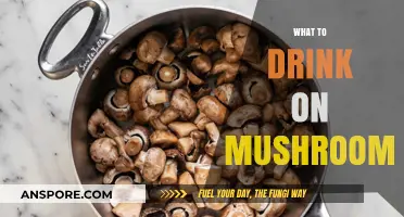 Tripping and Thirsty? Safe Beverage Options for Mushroom Trips