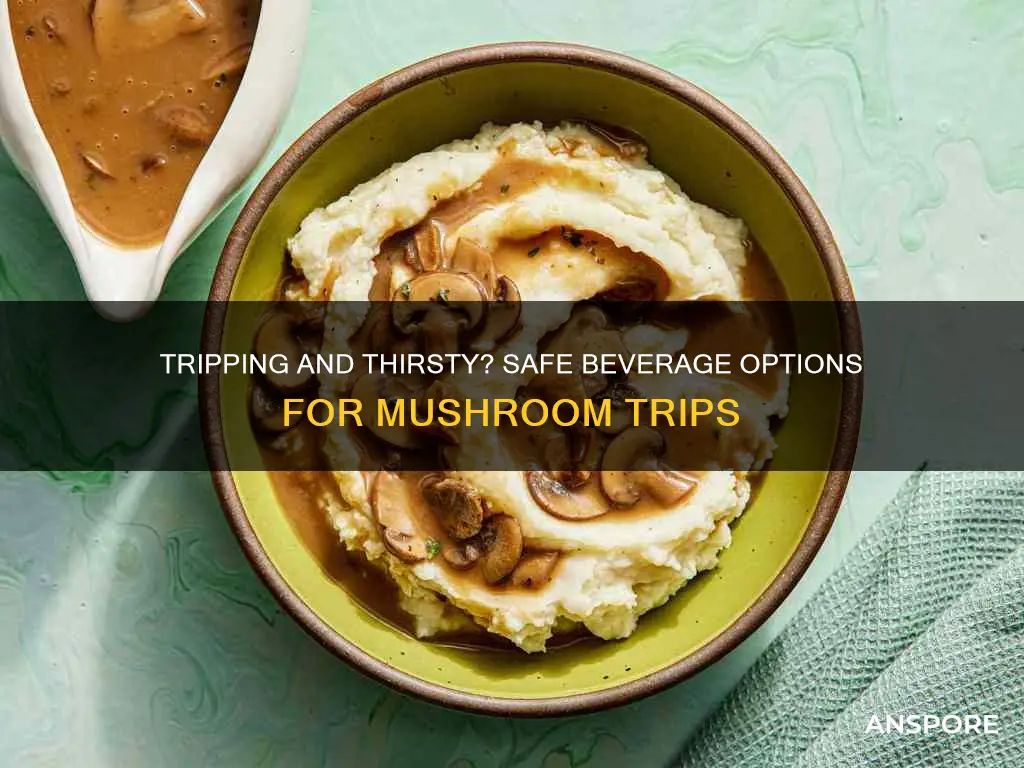 what to drink on mushrooms