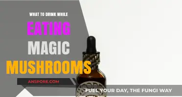 Enhance Your Magic Mushroom Experience: Best Drinks to Pair With Shrooms