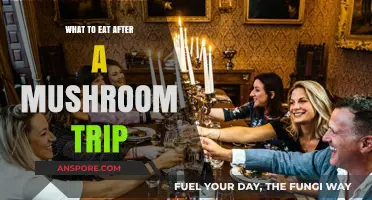 Post-Mushroom Trip Nutrition: Foods to Aid Recovery and Balance