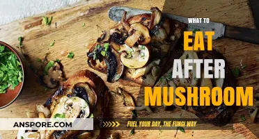 Post-Mushroom Meal Ideas: Nourishing Foods to Enjoy After Your Fungal Feast
