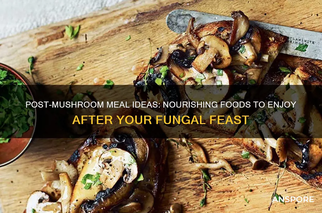 what to eat after mushrooms