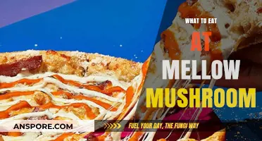 Delicious Mellow Mushroom Menu Picks: Must-Try Dishes and Pizza Creations