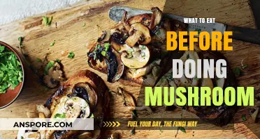Pre-Mushroom Meal Guide: Best Foods to Eat Before Tripping