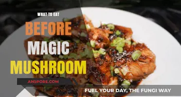 Pre-Trip Fuel: Best Foods to Eat Before Magic Mushrooms