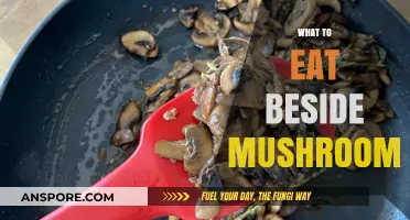 Delicious Mushroom Alternatives: Healthy and Flavorful Food Options to Try