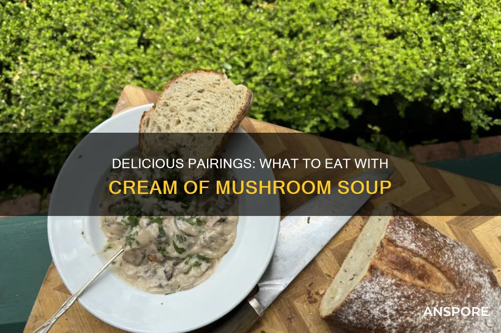 what to eat cream of mushroom soup with