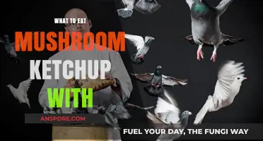 Delicious Pairings: Mushroom Ketchup's Best Food Matches Revealed