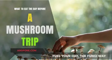 Pre-Trip Nutrition: Best Foods to Eat Before a Mushroom Journey