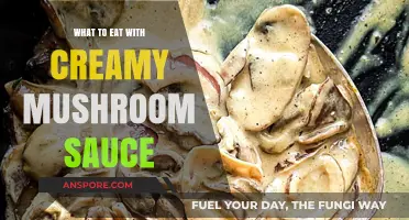 Delicious Pairings: Perfect Dishes to Serve with Creamy Mushroom Sauce