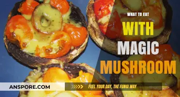 Pairing Foods with Magic Mushrooms: Enhance Your Psychedelic Experience Safely