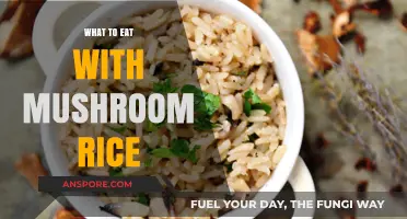 Delicious Pairings: Perfect Dishes to Complement Your Mushroom Rice