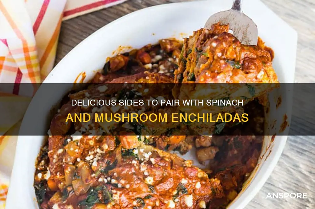 what to eat with spinch and mushroom enchiladas
