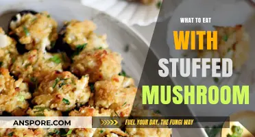 Delicious Pairings: Perfect Side Dishes for Stuffed Mushrooms