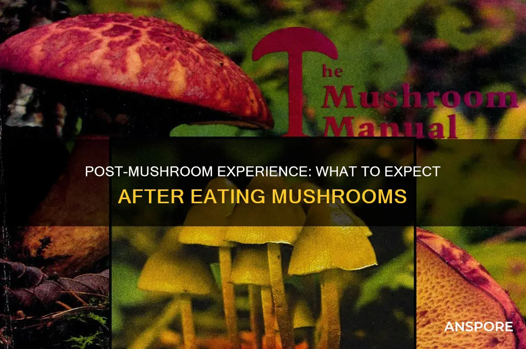 what to expect after eating mushrooms
