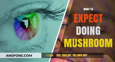 Tripping on Shrooms: A Beginner's Guide to Expectations