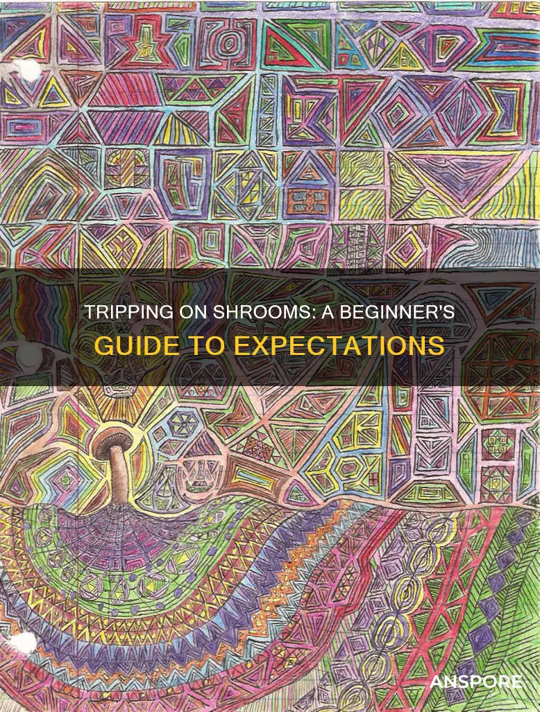 what to expect doing mushrooms