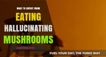 Exploring the Psychedelic Journey: What Hallucinogenic Mushrooms Reveal