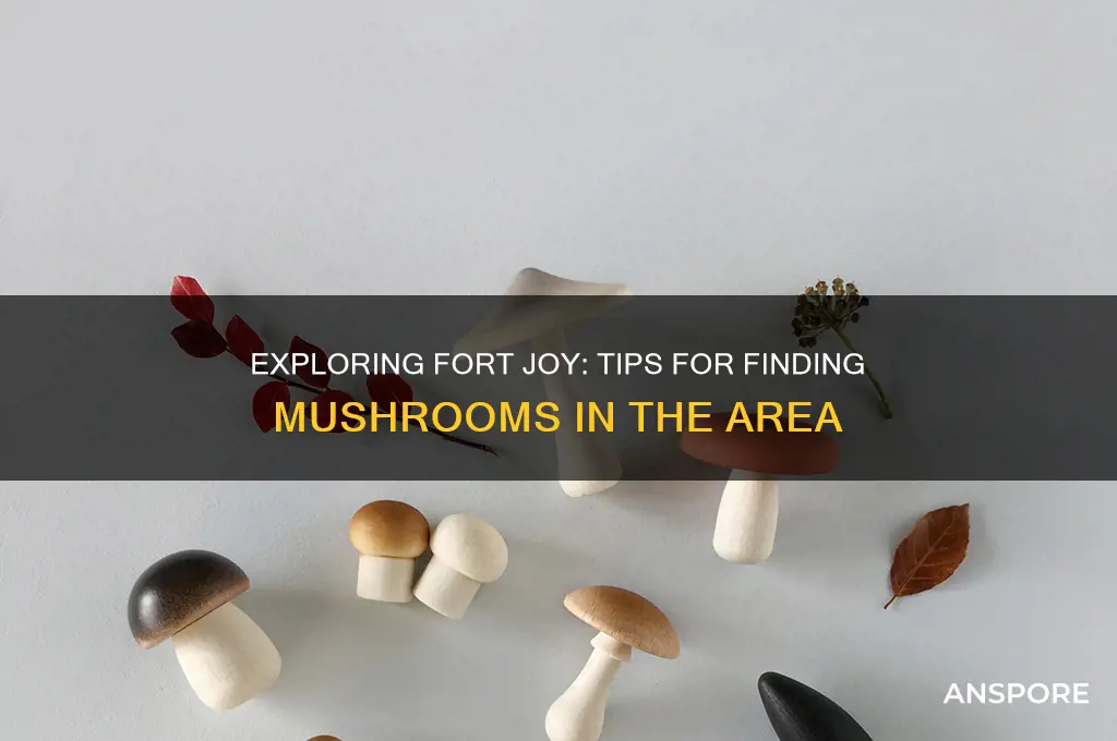 what to find mushrooms fort joy