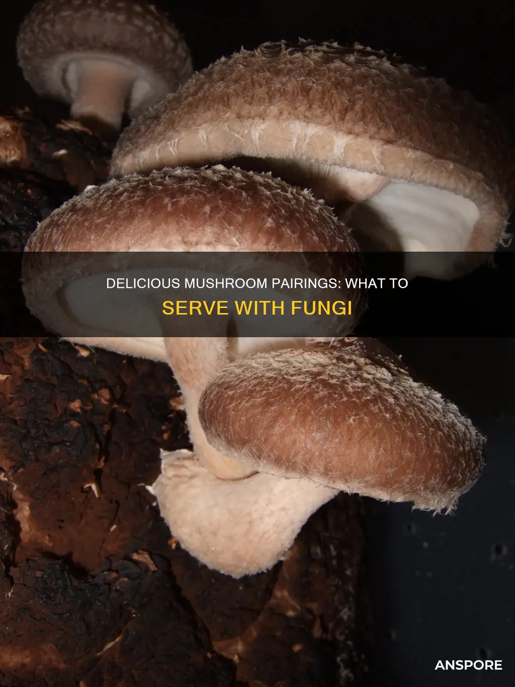 what to have with mushrooms