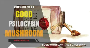 Choosing Quality Psilocybin Mushrooms: Key Traits for Safe Consumption