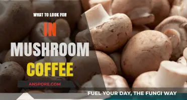 Discovering Mushroom Coffee: Key Ingredients and Benefits to Seek