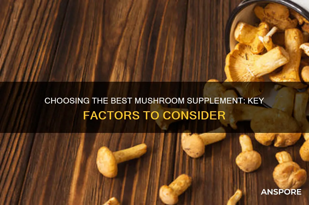 what to look for when buying a mushroom supplement