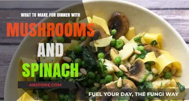 Delicious Mushroom and Spinach Dinner Ideas: Quick, Healthy Recipes to Try