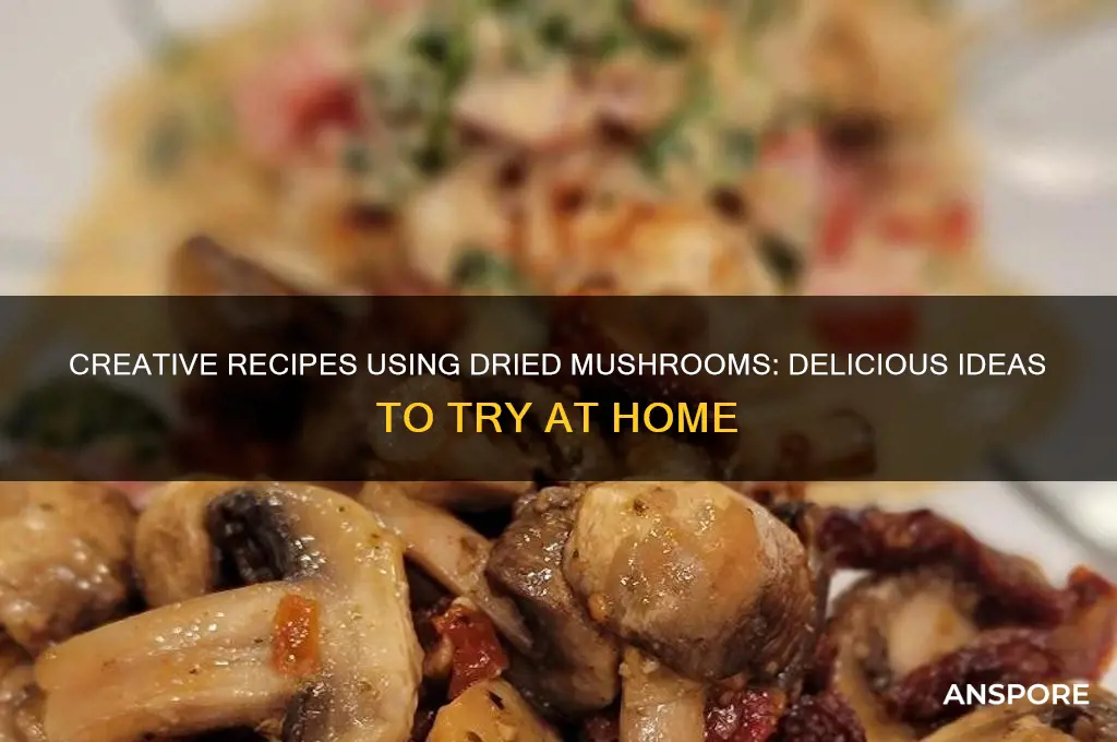 what to make from dried mushrooms