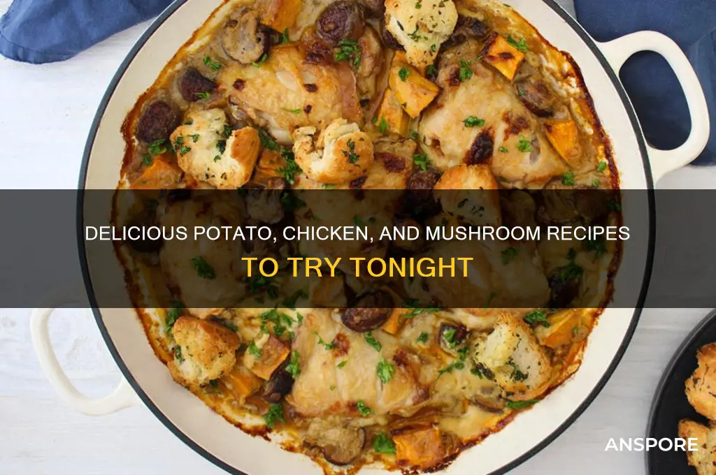 what to make of potatoes chicken and mushrooms