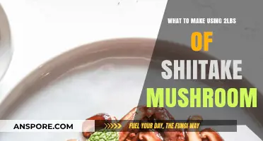 Creative Shiitake Mushroom Recipes: Delicious Ideas for 2 Pounds of Fungi