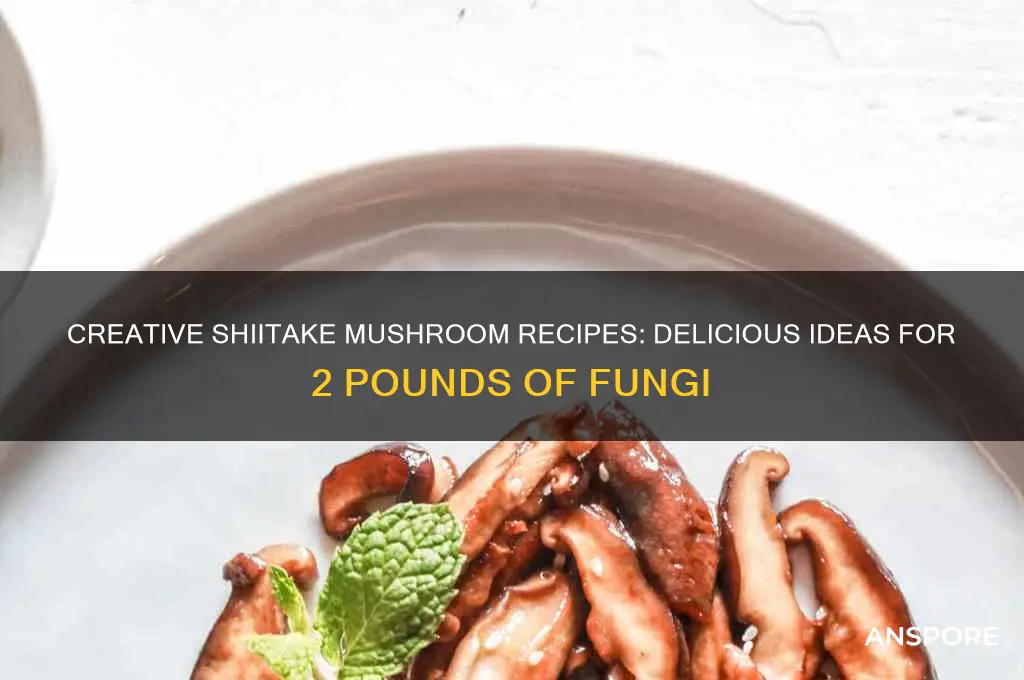 what to make using 2lbs of shiitake mushrooms