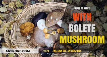 Delicious Bolete Mushroom Recipes: Creative Culinary Ideas to Try Today