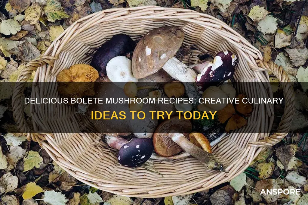 what to make with bolete mushrooms
