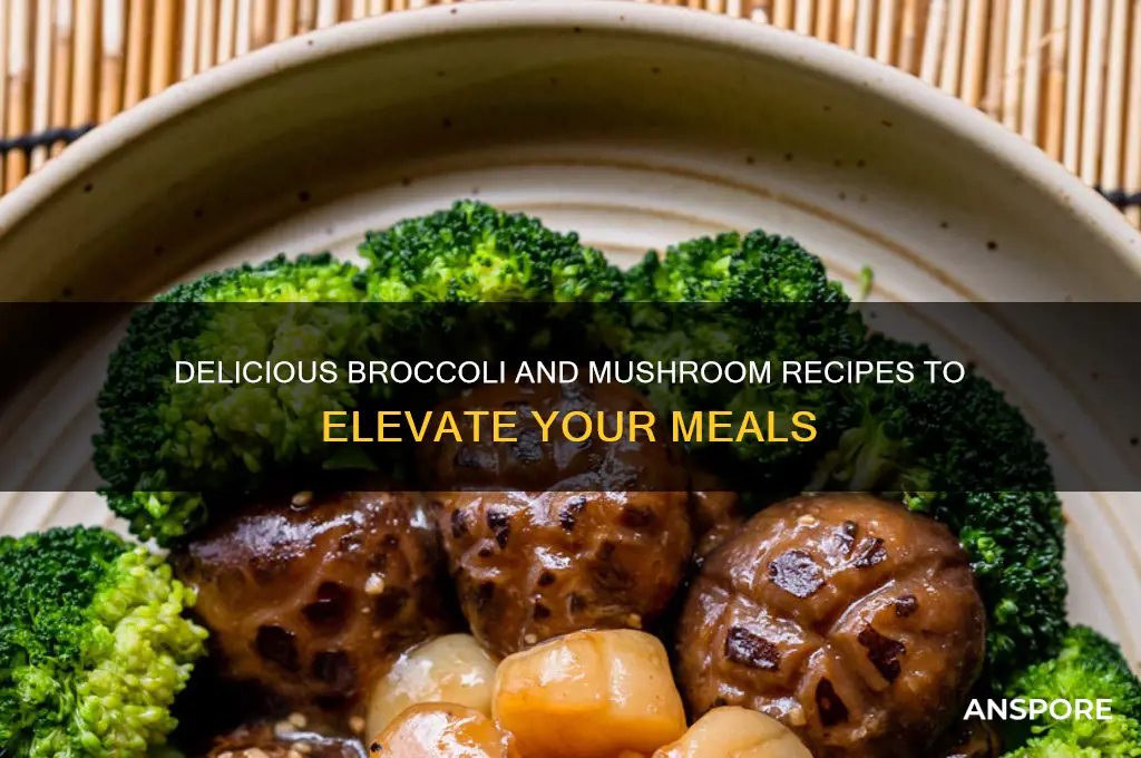 what to make with broccoli and mushrooms